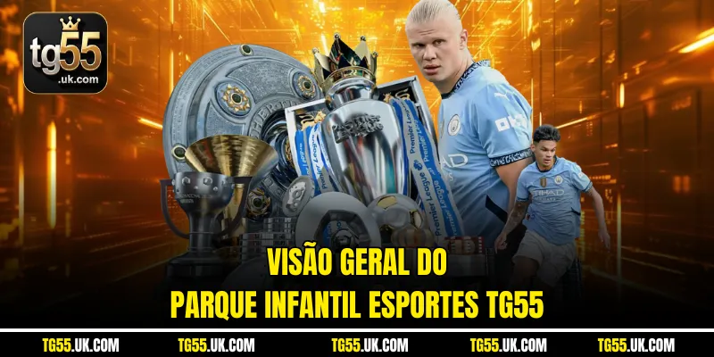 Visão geral do parque infantil Esportes tg55