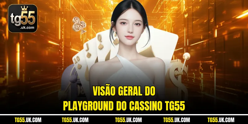 Visão geral do playground do Cassino tg55 